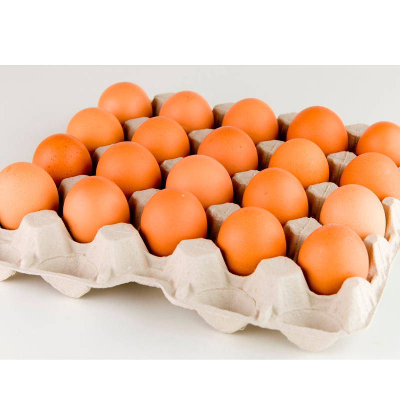Huevos