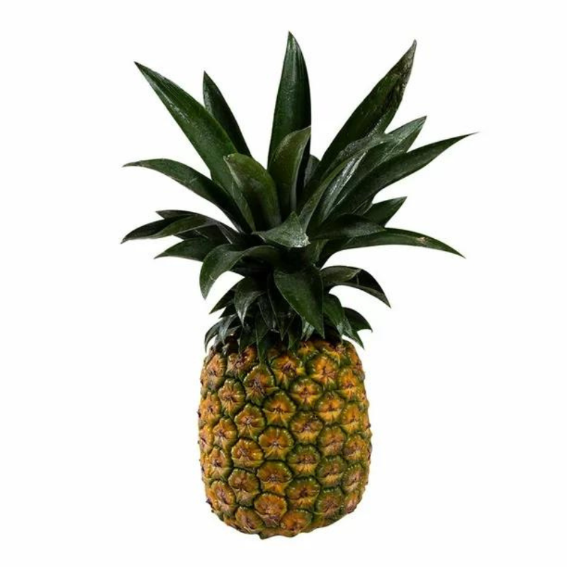 Piña Tipos