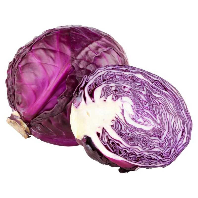Repollo